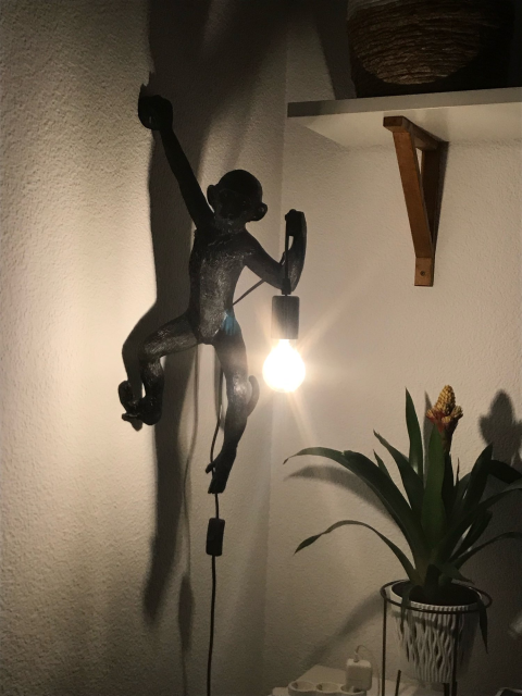 Moderne Sort Abelampe Hampereb Pendellamper